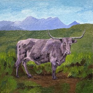 Longhorn Anomaly