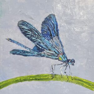 Dragonfly on Lemongrass