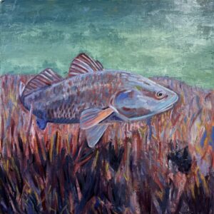 Pursuit Redfish
