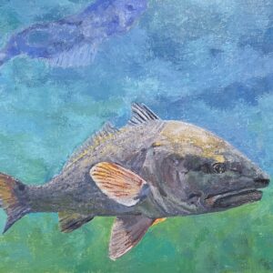 Reflected Redfish