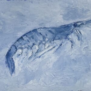 Gulf Shrimp