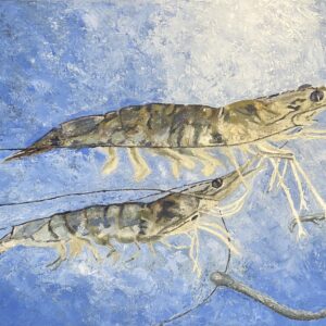 Gulf Shrimp Off The Hook